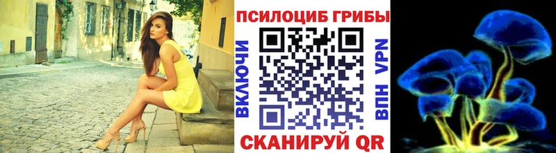 Галлюциногенные грибы MAGIC MUSHROOMS  цена   Павловск 